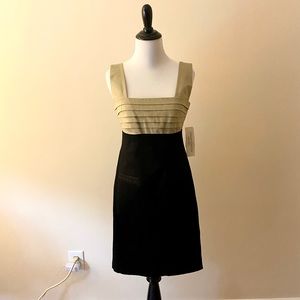 Maggy London Petites Dress
